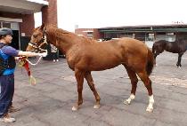 ���ο��� (SEONDU YEONGUNG) ����