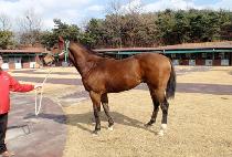 �̶�Ŭ�Ŀ� (MIRACLE POWER) ����