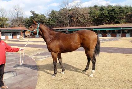 �̶�Ŭ�Ŀ� ����