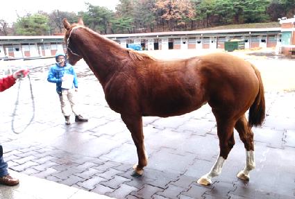 ������� ����