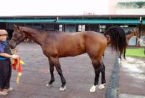 ����� (JANGSUBIMA) ����