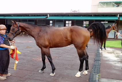 ����� ����