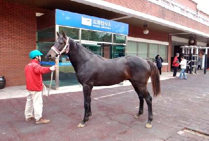 �õ��� ����