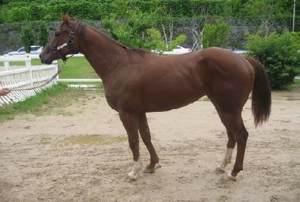 �ູ���� ����