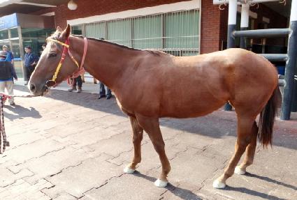 û��꼺 ����