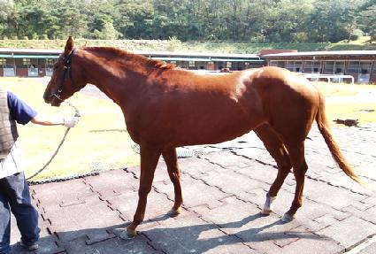 �븶��� ����