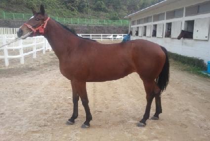 �������� ����