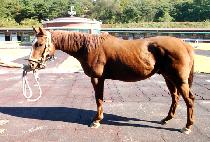 Ʈ���꼼�� (TWELVE SEVEN) ����