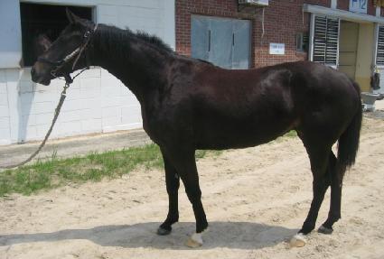 �������� ����