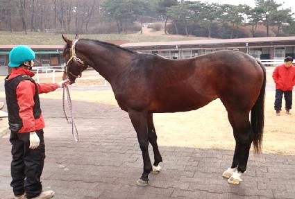 ���� ����