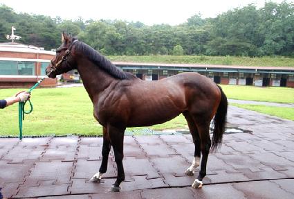 ��õ�� ����