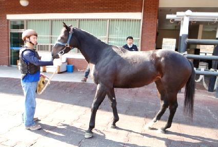 ����ź ����