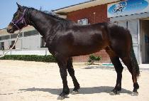 ����Ư�� (SEGYE TEUKGEUP) ����