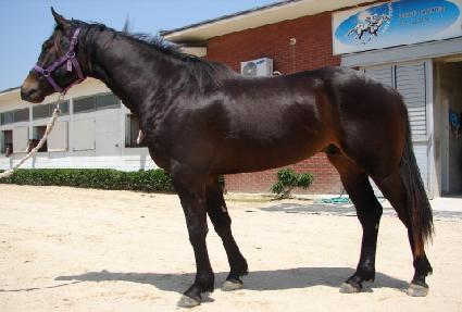 ����Ư�� ����