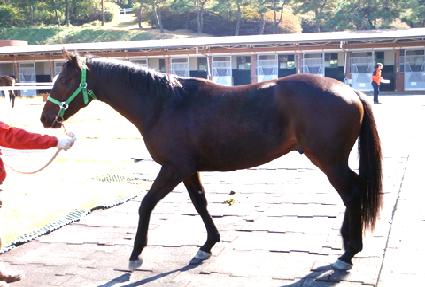 ������ ����