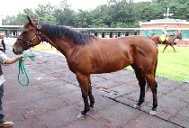 �����Ǻ� (JEGUGUI BYEOL) ����