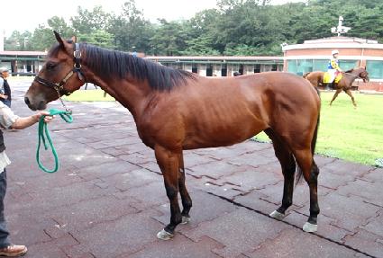 �����Ǻ� ����