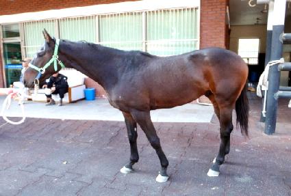 ���۾�Ű ����