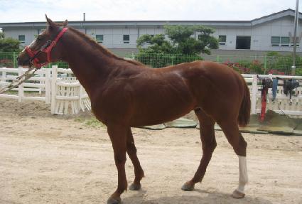 ���߸��� ����