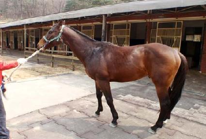 ����í�� ����