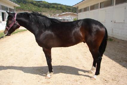 ����ȣ�� ����