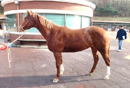 �޸�����Ÿ ����