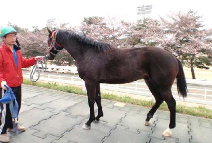 ����Ƽ�� ����