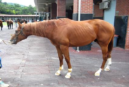 ��ȭ�� ����