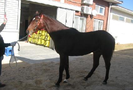 �۸��Ǻ� ����