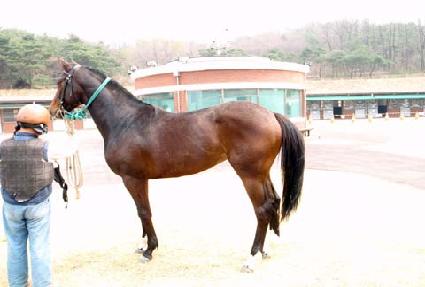 ����ī ����