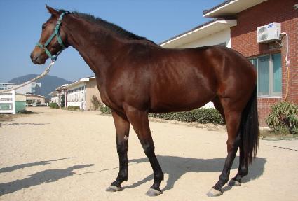 �����극�� ����