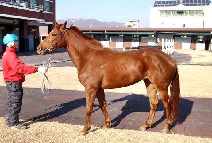 ����ó�� ����