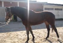 �÷�������Ʈ (FLASH POINT) ����