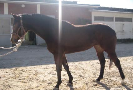 �÷�������Ʈ ����