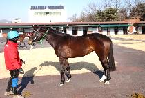 �����Ǽ� (GWANGYAUI SON) ����