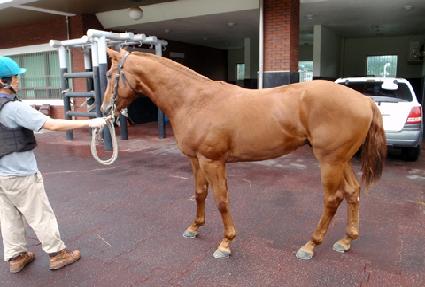 ������ ����