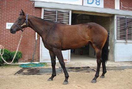 �������̽�Ʈ ����