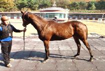 �׸������� (GREELEY FAME) ����