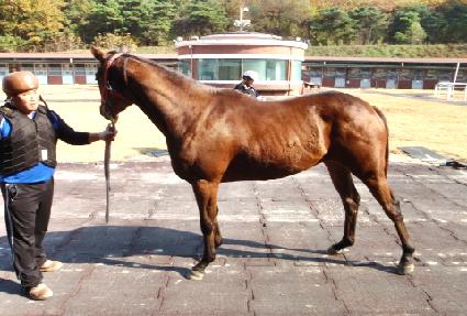 �׸������� ����