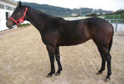 ���־��� ����