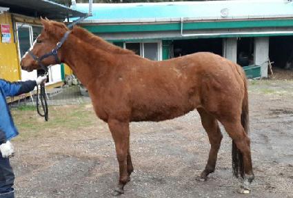 ��ī����Ʈ ����