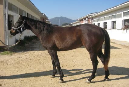 ������ ����