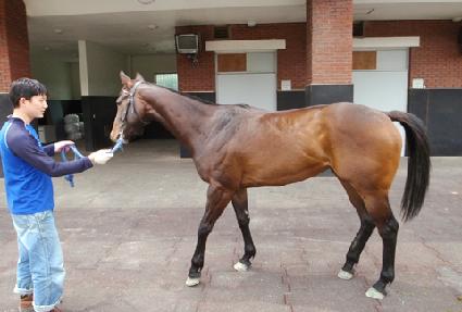 ��������ĵ ����