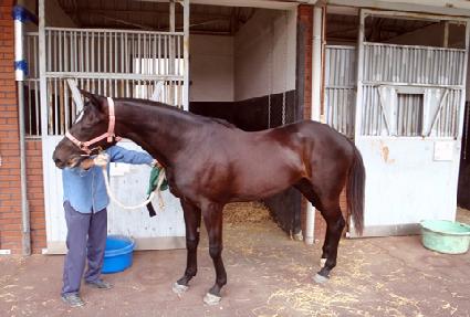 �����ұ� ����