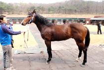 �ص��Դ� (GEUKDONG HAMDAE) ����