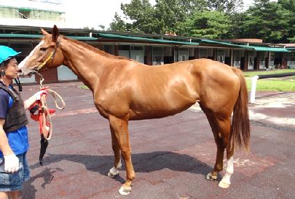 �̶�Ŭ���� ����