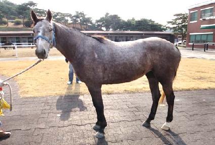 ��Ʈ�� ����