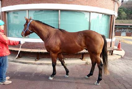 �޵��켱 ����