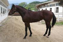 �������� (YEOKJEONMYEONGJANG) ����