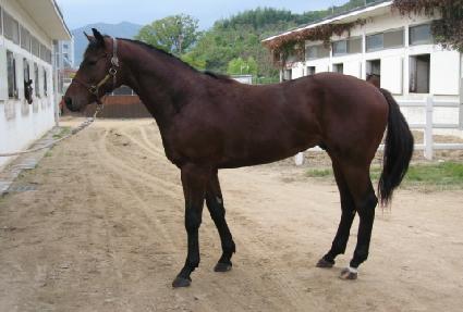 �������� ����